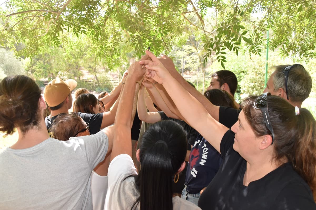ייעוץ אסטרטגי וארגוני — OK Group 7