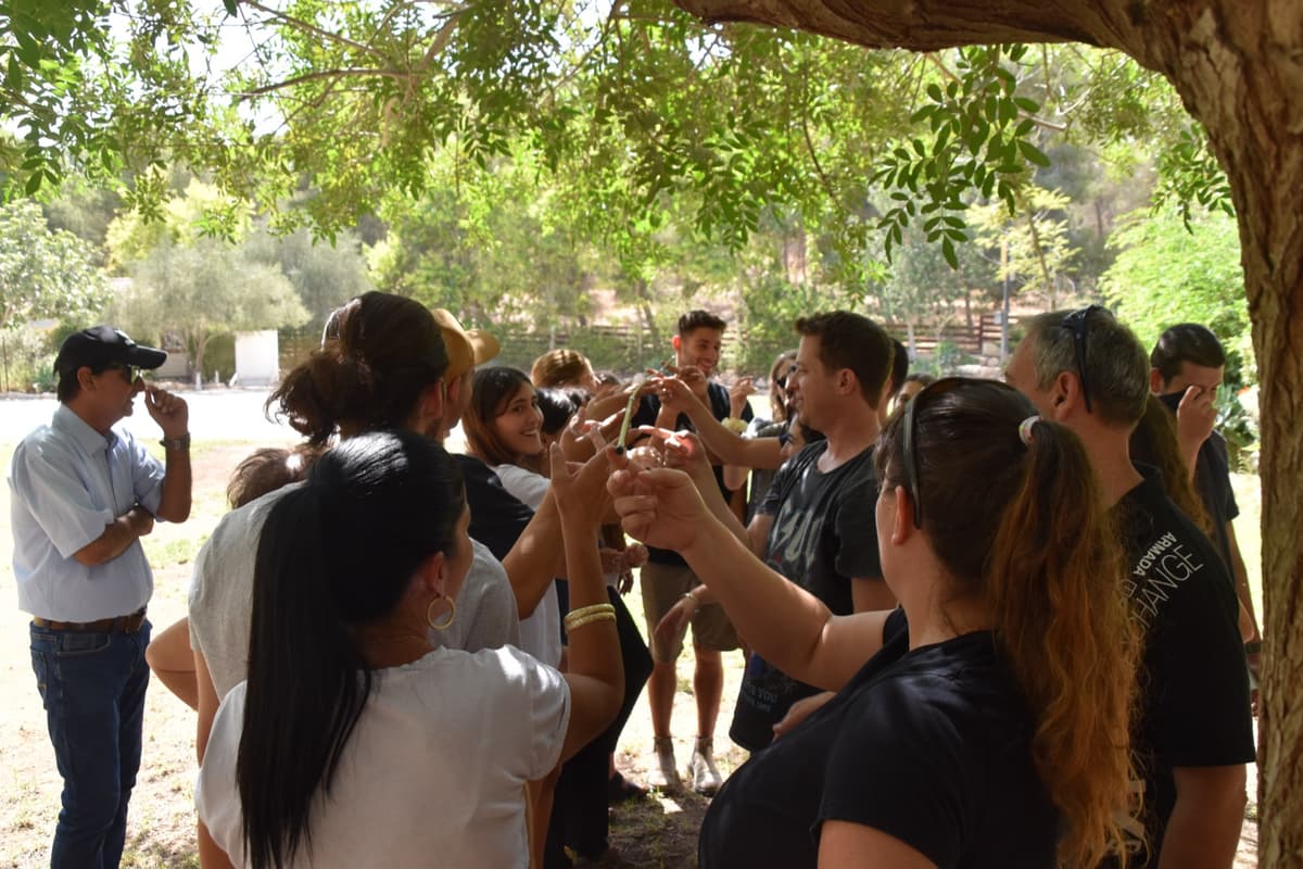 ייעוץ אסטרטגי וארגוני — OK Group 8