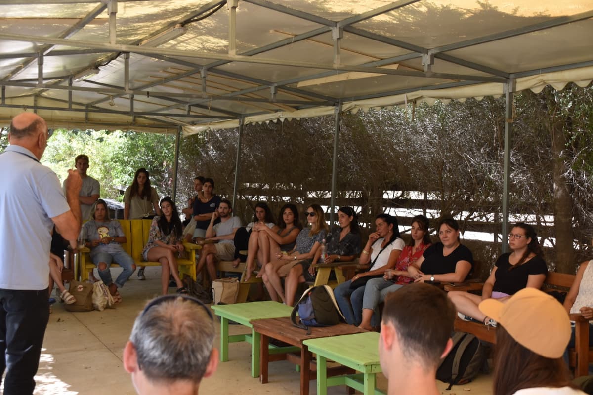 ייעוץ אסטרטגי וארגוני — OK Group 11