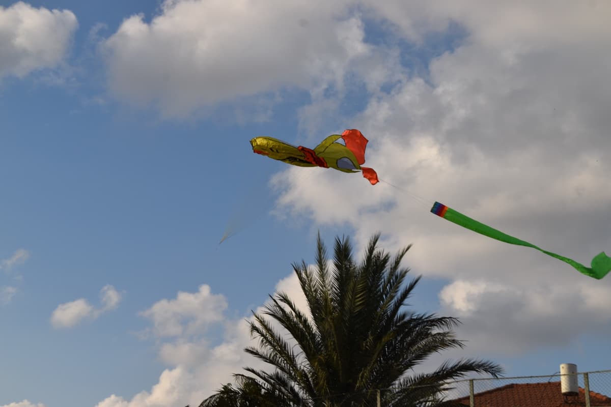 המצפן — פרויקטים בחינוך 5